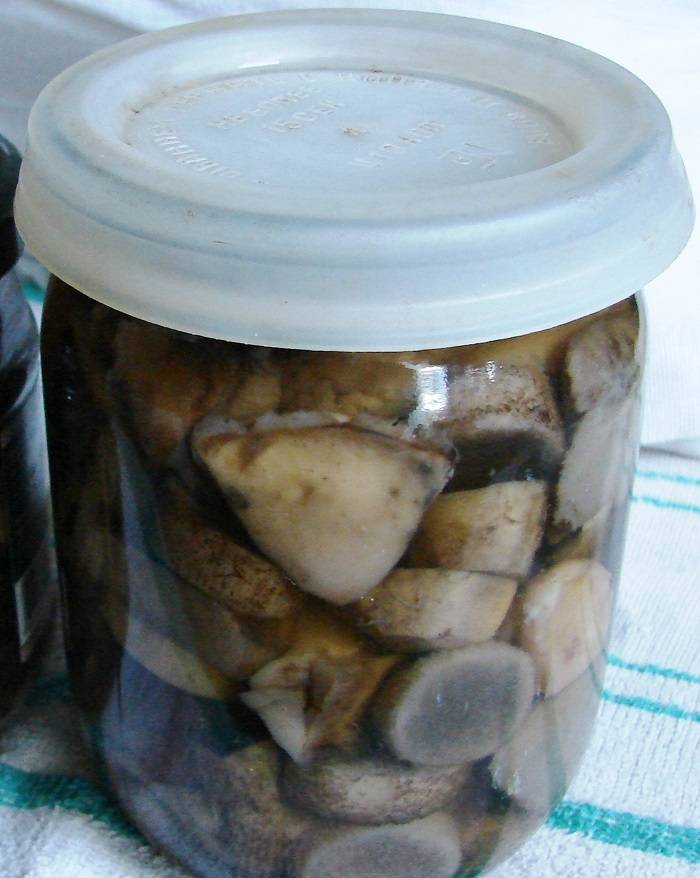 Маринованные белые грибы на зиму - очень простой и быстрый пошаговый рецепт с фото от марины выходцевой и мари сокол