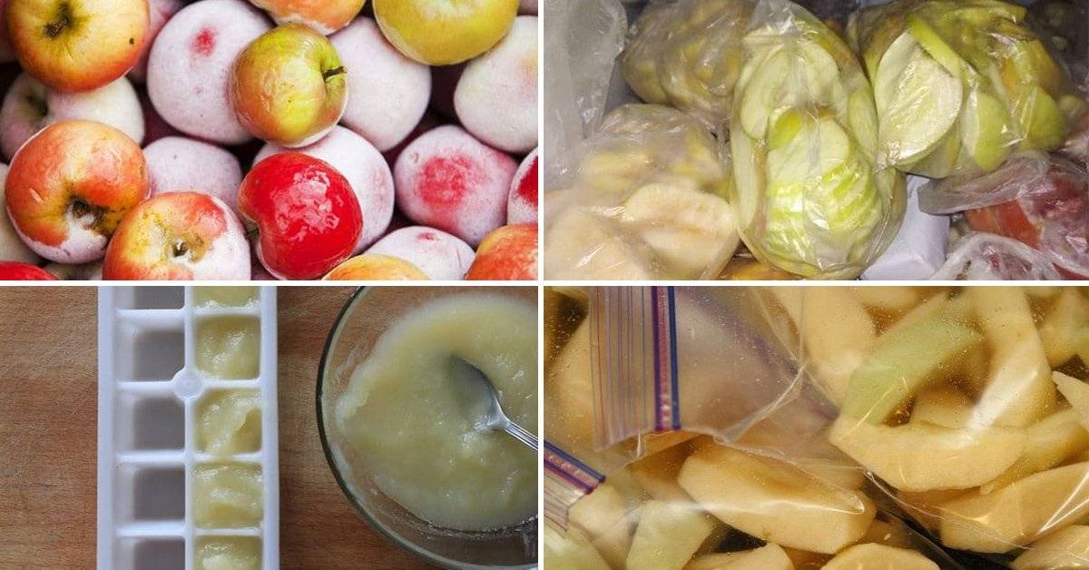 ✅ как правильно заморозить яблоки на зиму в домашних условиях в морозилке и правила хранения фруктов - обедспб.рф