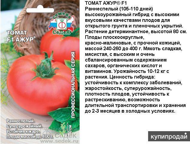Томат шахерезада: характеристика и описание сорта помидоров, отзывы тех, кто пробовал их выращивать и фото урожая