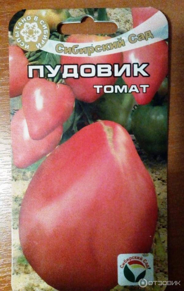 Описание и основные характеристики помидоров сорта севрюга