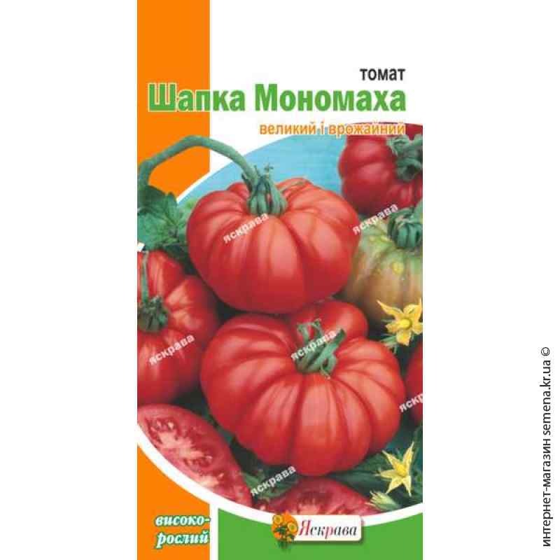 Помидоры шапка мономаха - описание сорта и особенности плодоношения, в каком климате его выращивают