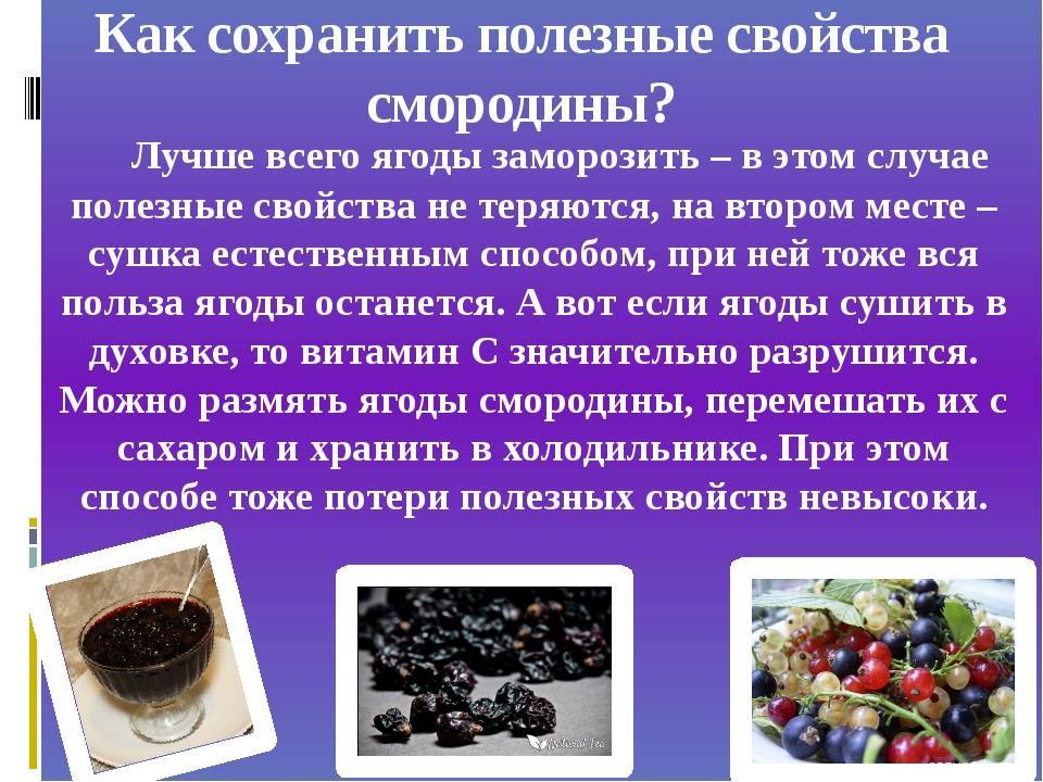 Как заморозить смородину на зиму в морозилке: заморозка черной и красной свежей ягоды в холодильнике, как и сколько храниться пюре, перетертое с сахаром