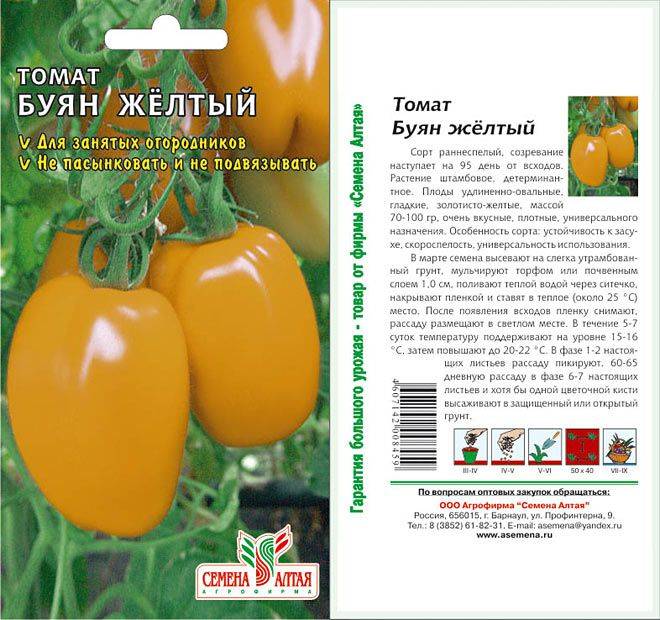 Сорт томата боец (буян): фото, отзывы, описание, характеристики.
