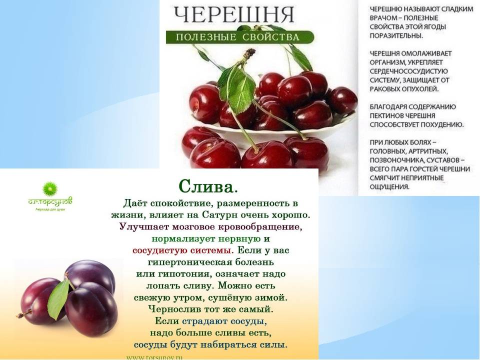 Польза вишни для организма: ценные свойства ягод, листьев и косточек