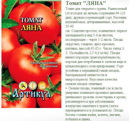 Купить томат жорик-обжорик (ранний,35-45см,100г) 0,2г а в интернет магазине удачный сад