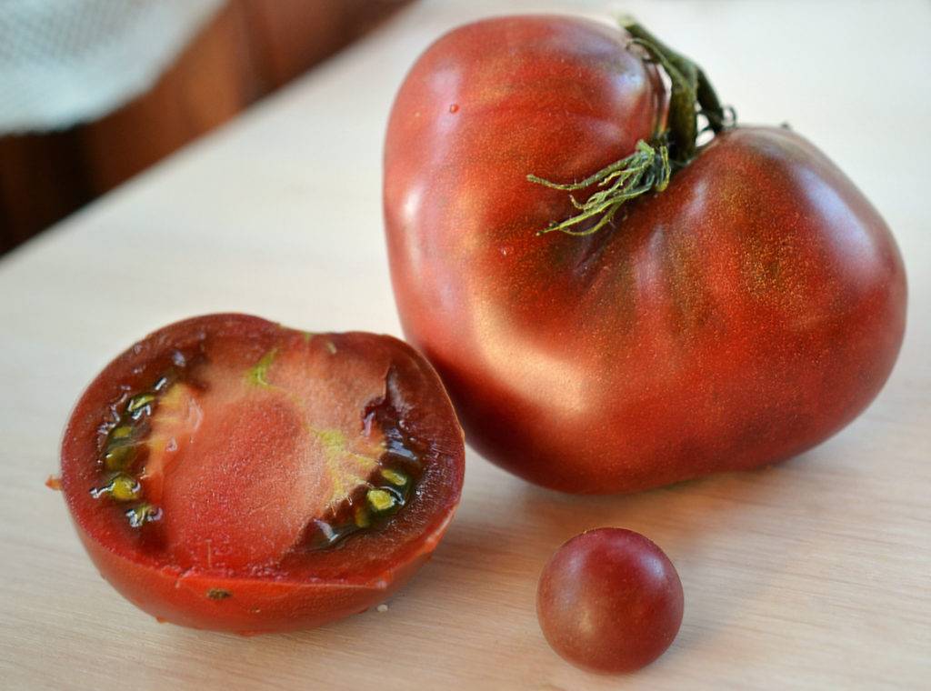Описание сорта томат шоколадный зайчик и его характеристики – дачные дела