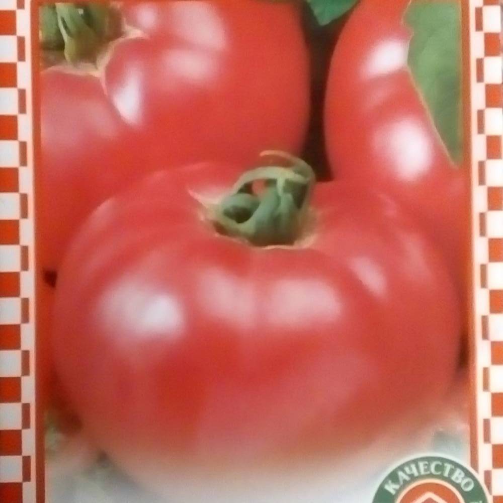 Описание крупноплодного гибрида томатов Главный калибр F1 и рекомендации по выращиванию