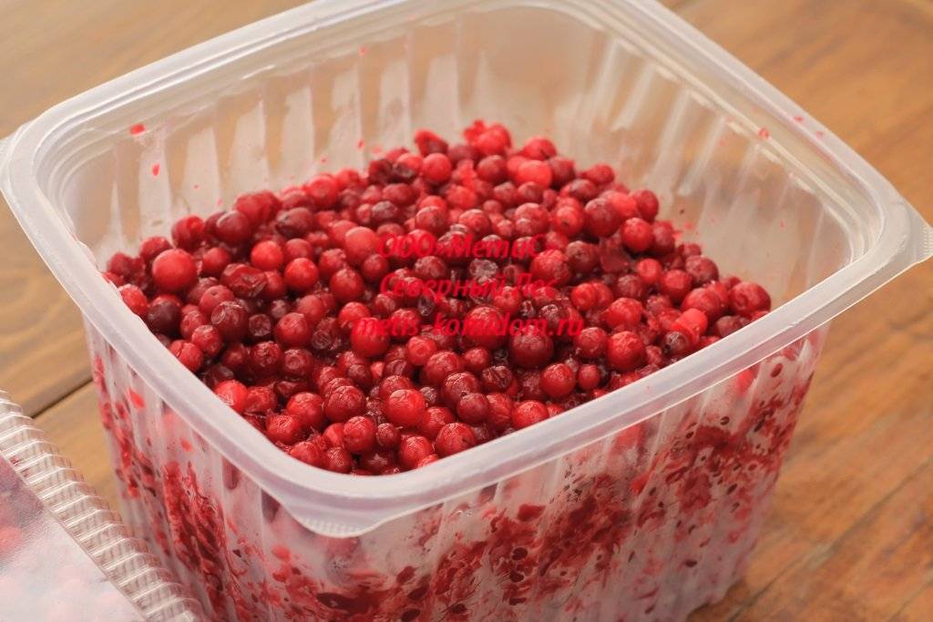 Хранение брусники: способы хранения ягод в домашних условиях, как хранить их на зиму в свежем виде