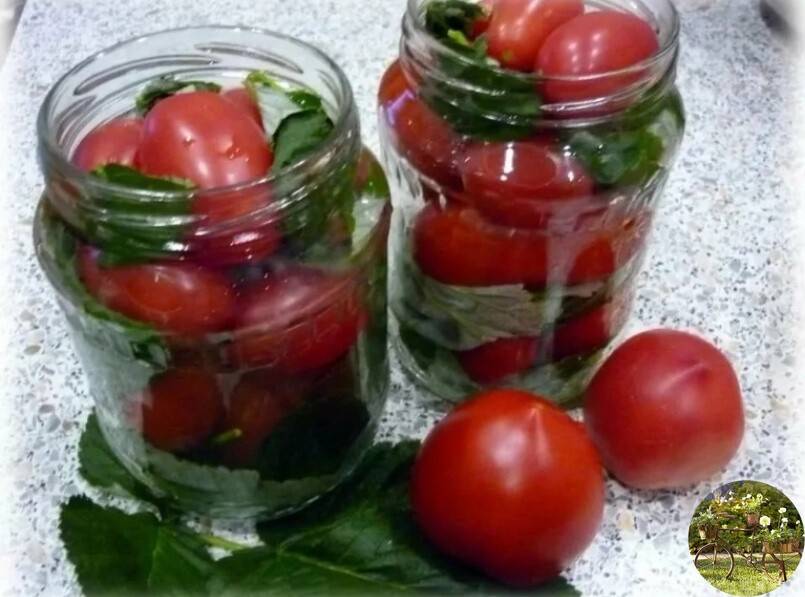 Лучшие рецепты маринованных помидоров с малиновыми листьями на зиму в домашних условиях