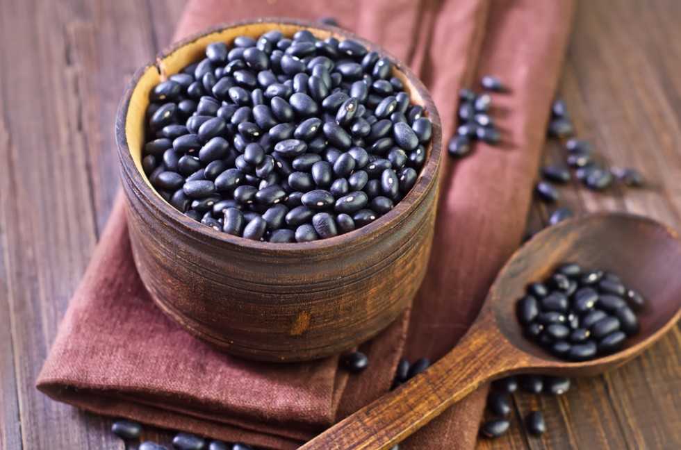 Черная фасоль: польза и вред для организма, состав витаминов