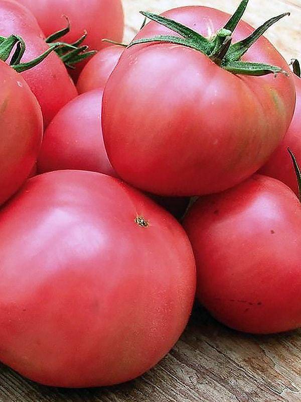 Томат «цунами»: характеристика и описание сорта, отзывы садоводов – все о томатах. выращивание томатов. сорта и рассада.