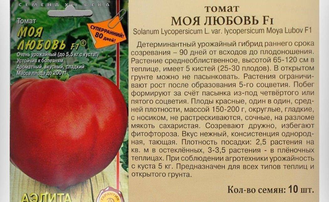 Томат министр: характеристика и описание сорта, урожайность с фото