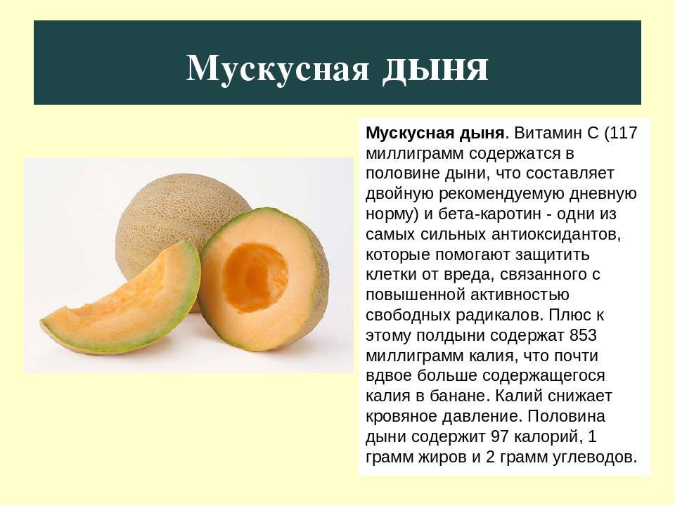 Дыня "торпеда": калорийность, польза, описание :: syl.ru