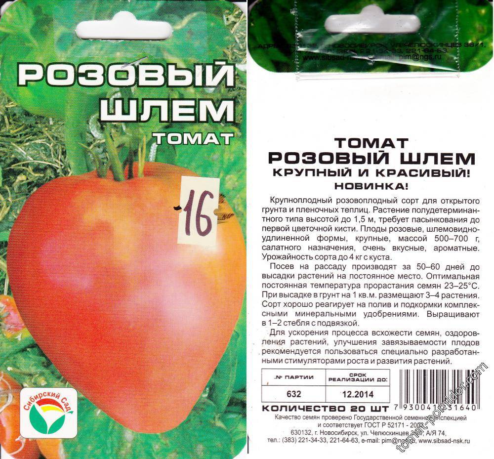 Описание отечественного гибридного томата Розовый шлем и особенности выращивания сорта