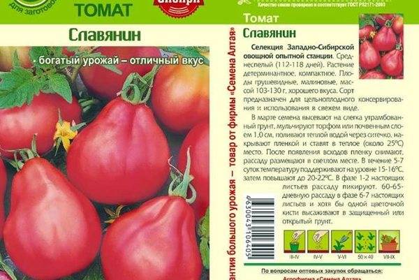 Описание томата Славянин и правила выращивания растения из семян