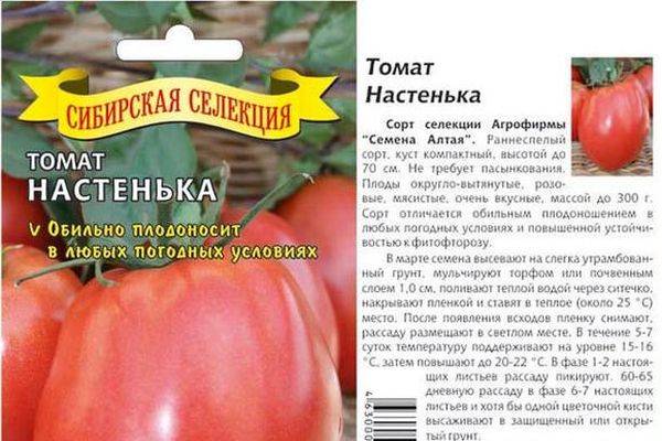 Томат настя сибирячка: характеристика и описание сорта с фото, урожайность помидора, отзывы дачников