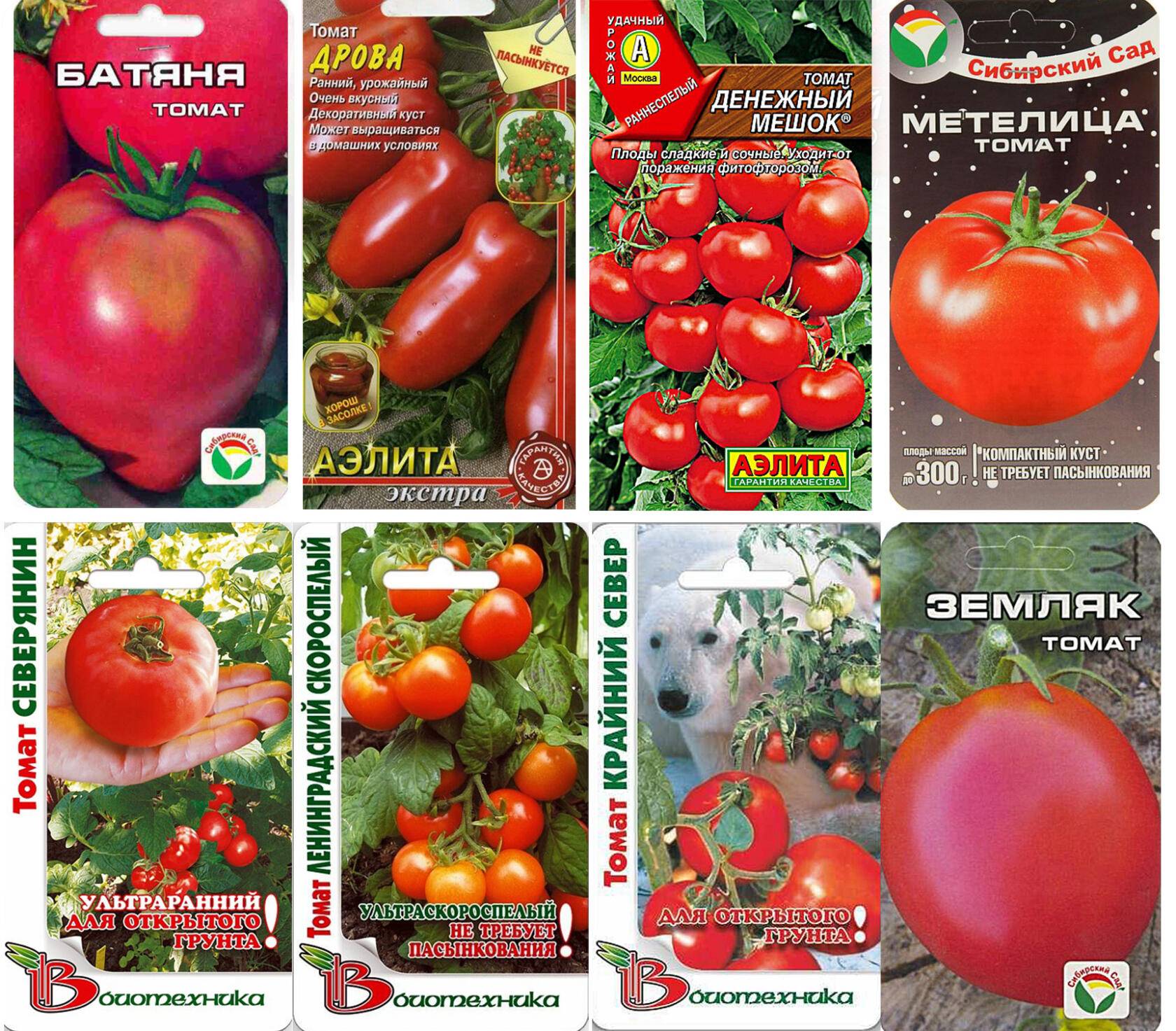 Как выбрать лучшие сорта томатов для выращивания в Беларуси