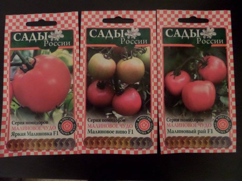 Томат малиновая сладость f1: характеристика и описание сорта, отзывы и фото помидоров