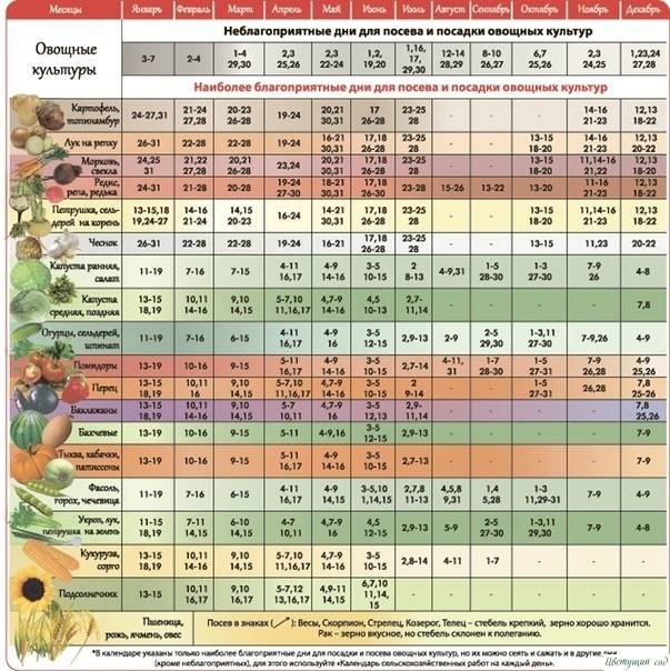 Лунный календарь для растений и рассады по дням на март 2021 :: инфониак