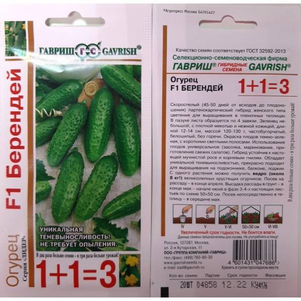 Описание сорта огурца Берендей f1 и агротехника выращивания гибрида