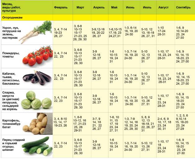 Лунный посадочный календарь на март 2021 года - садовода и огородника: когда и что сажать, благоприятные дни для посева на рассаду, сроки обрезки, подкормки