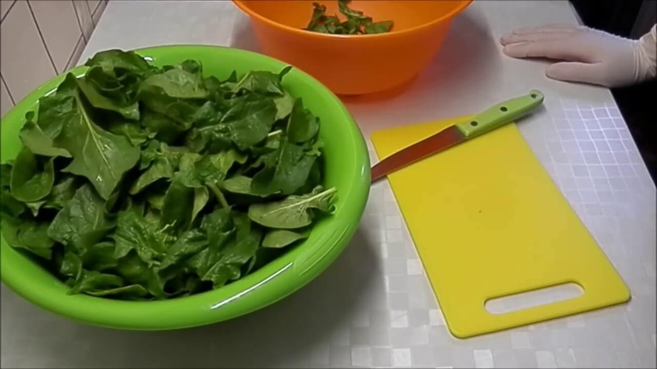 Как заморозить шпинат на зиму в домашних условиях: как заготовить, как хранить