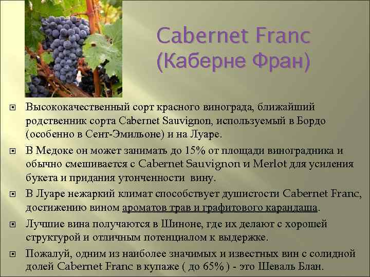 Темпарнильо - сорт винограда родом из испании, описание , характеристики, особенности, фото selo.guru — интернет портал о сельском хозяйстве