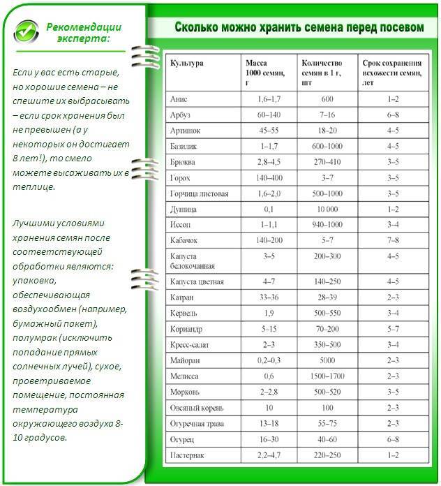 Сроки годности семян овощных культур без потери всхожести: таблица
