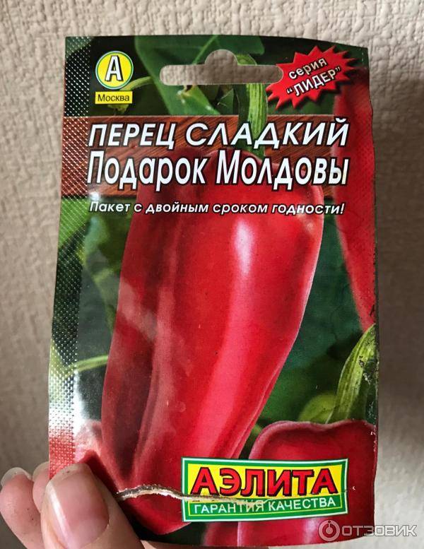 Перец подарок молдовы отзывы фото урожайность