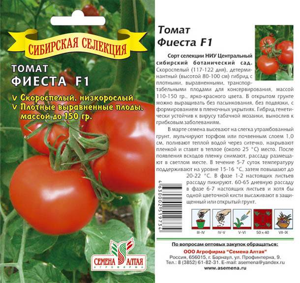 Минусинские томаты: топ 15 лучших сортов
