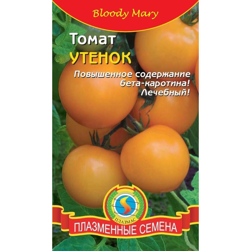 Описание лечебного сорта томата Утенок, выращивание растения в открытом грунте и в теплицах