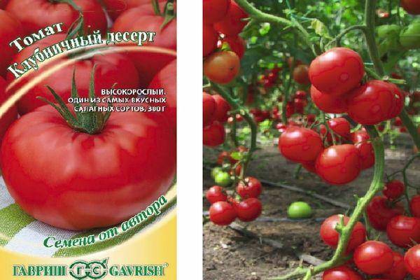 Томат клубничный десерт: описание сорта и характеристика, отзывы тех кто сажал помидоры об их урожайности, фото куста