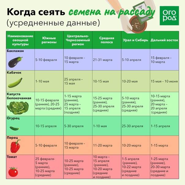Календарь посадки помидоров в 2022 году. когда высаживать в грунт и теплицу
