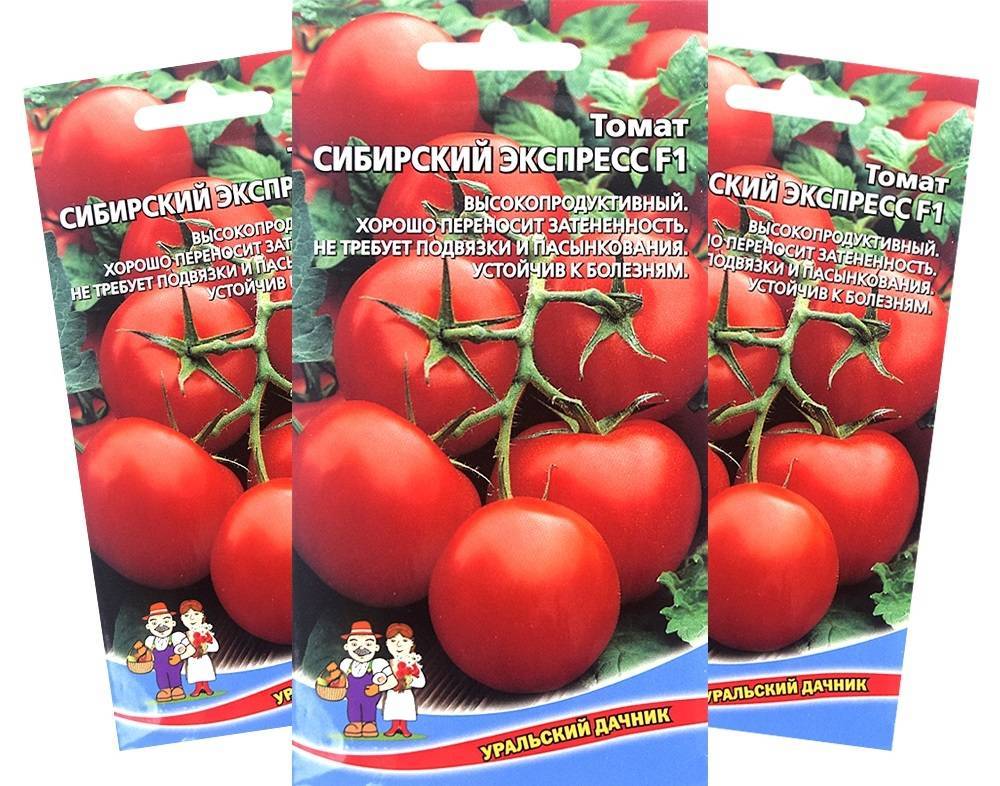 Описание селекционного томата Скороспелка и советы по выращиванию рассады