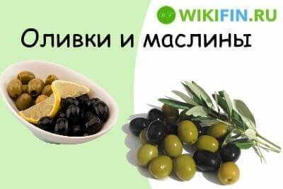 Чем отличаются оливки от маслин: что это такое, в чем польза