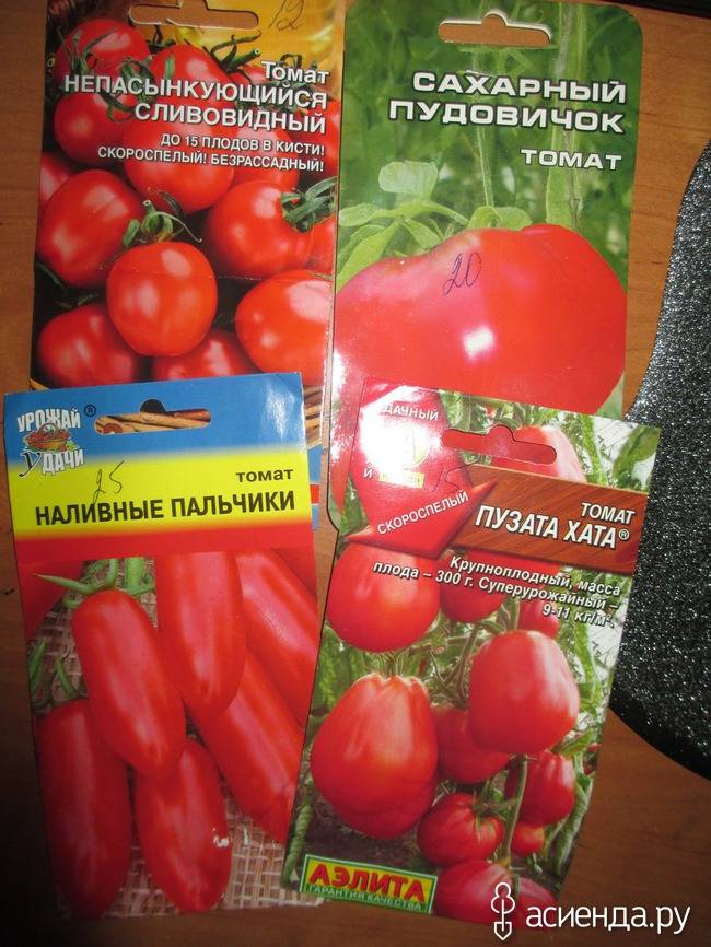 Характеристики и описание томат «богата хата f1» отзывы, фото, урожайность