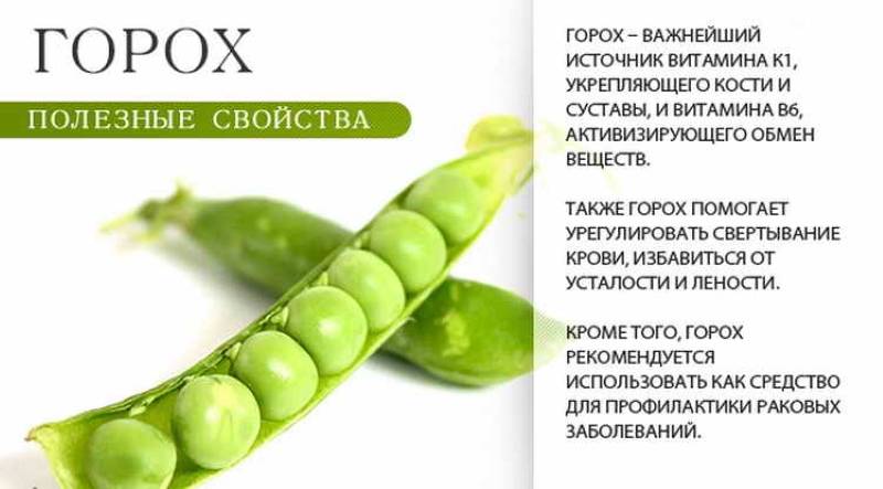 Горох (зеленый горошек): польза и вред для организма, калорийность