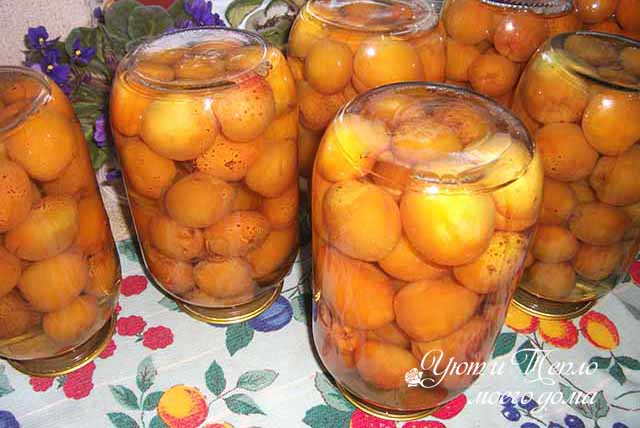 Проще не придумаешь — заготавливаем на зиму вкусный компот из абрикосов