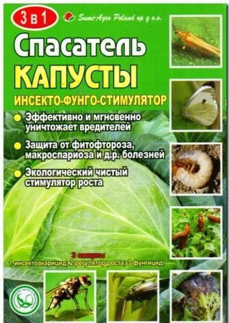 ᐉ как обработать капусту содой от вредителей? - zooon.ru