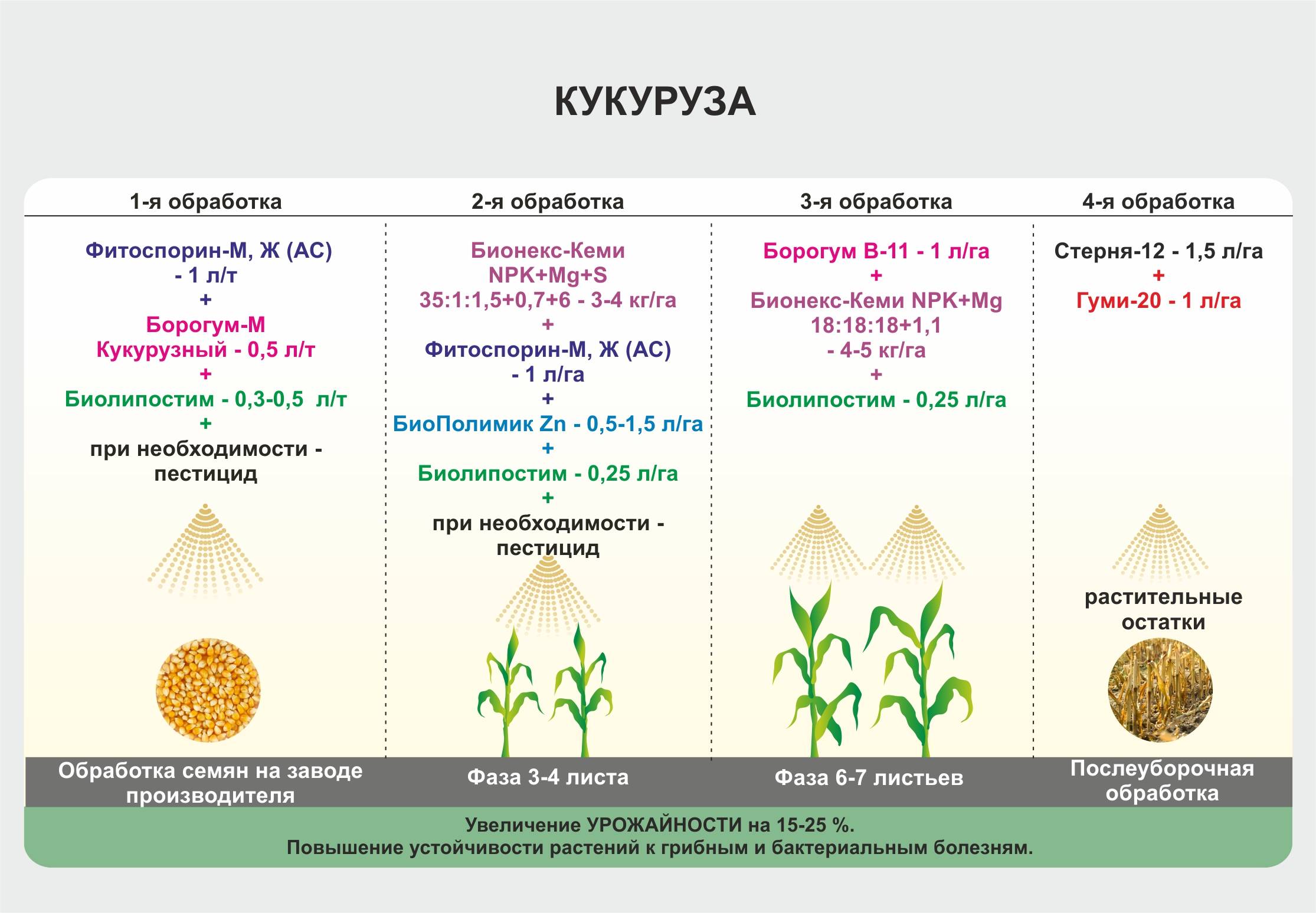 Какая урожайность кукурузы