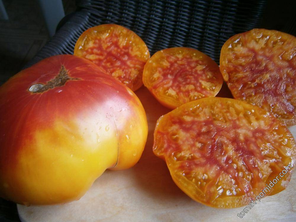 ✅ томат ананас гавайский — описание сорта, отзывы, урожайность - cvetochki-penza.ru