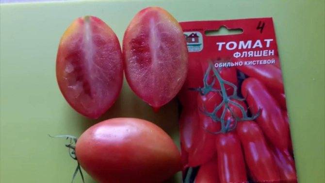 Высокорослый и среднеспелый сорт томата фляшен