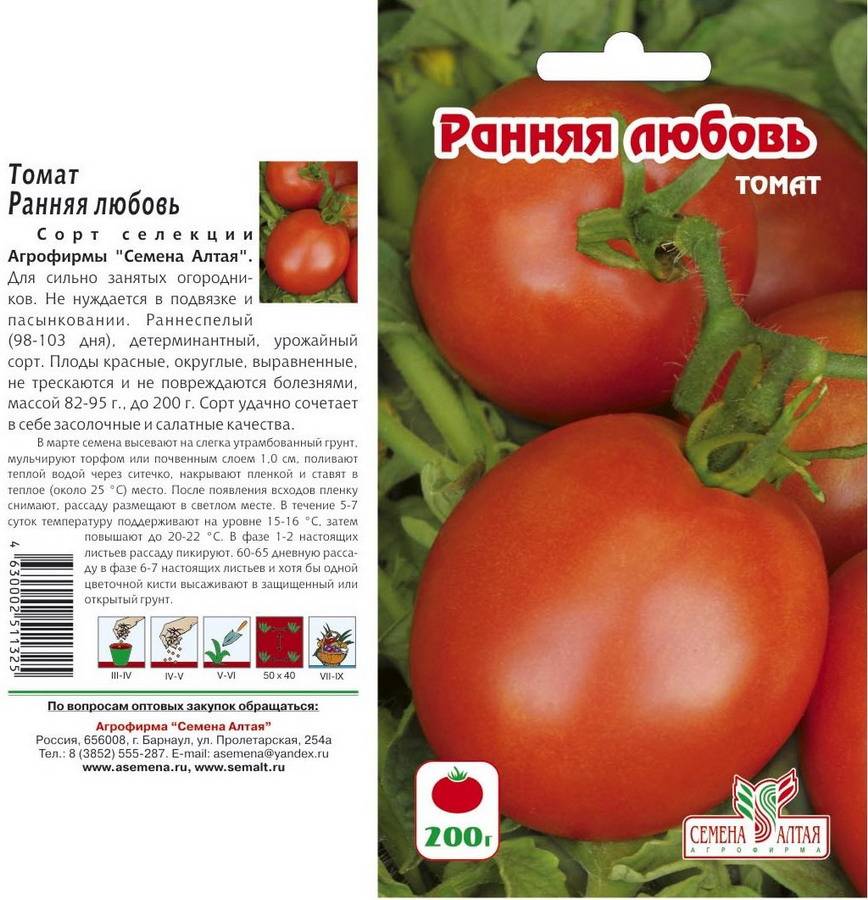 Выращиваем раннеспелый томат маруся вместе с нами — описание сорта и его достоинства