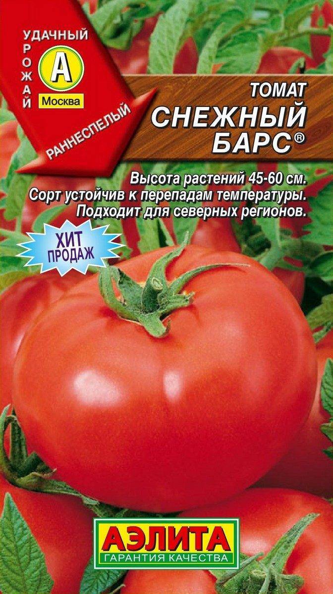 Правила выращивания крупноплодных томатов снежный барс — описание сорта и характеристики, отзывы об урожайности