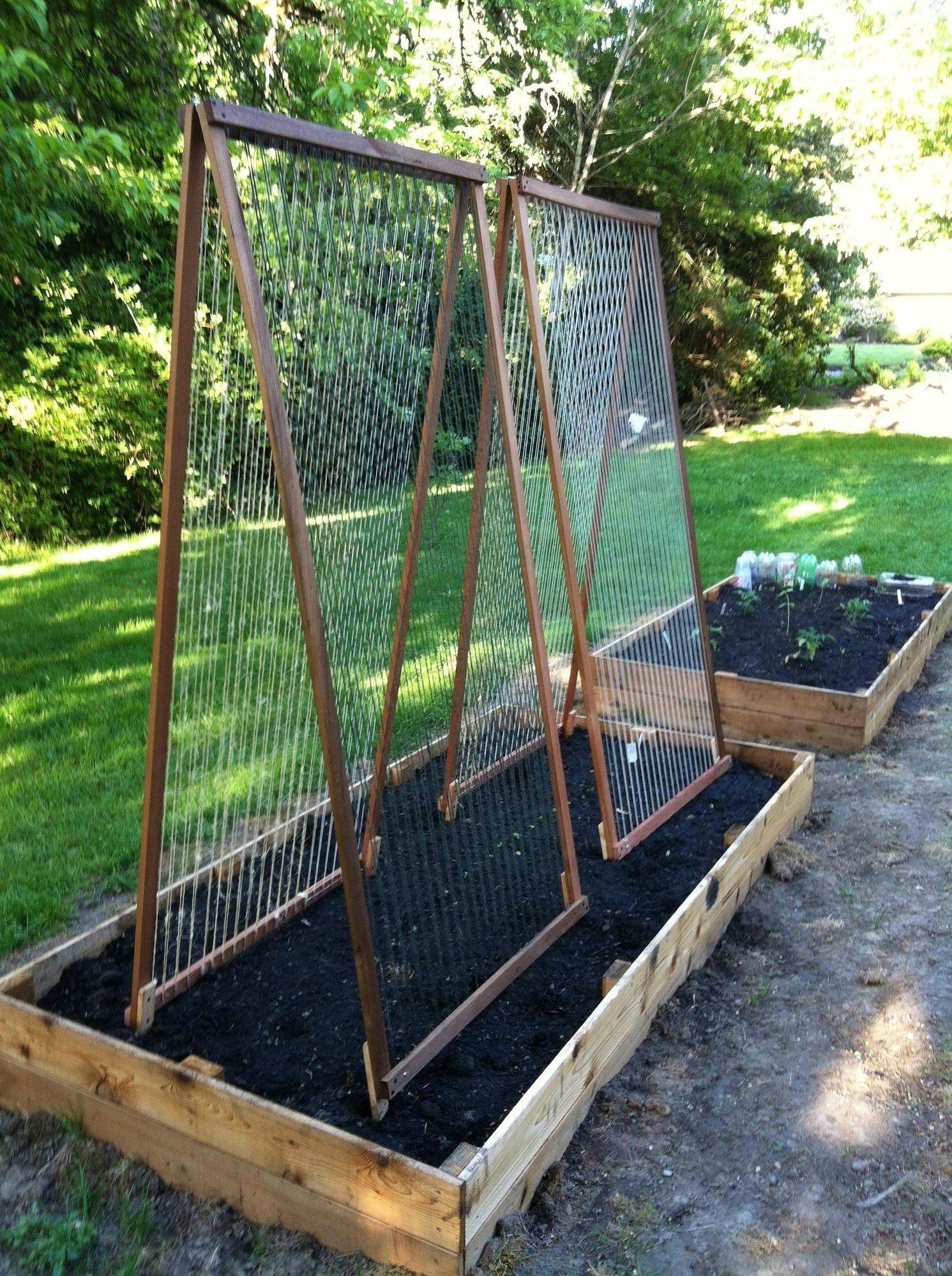 Огурец и шпалера — счастливый дуэт для большого урожая: техника, материалы, размещение в теплице и открытом грунте