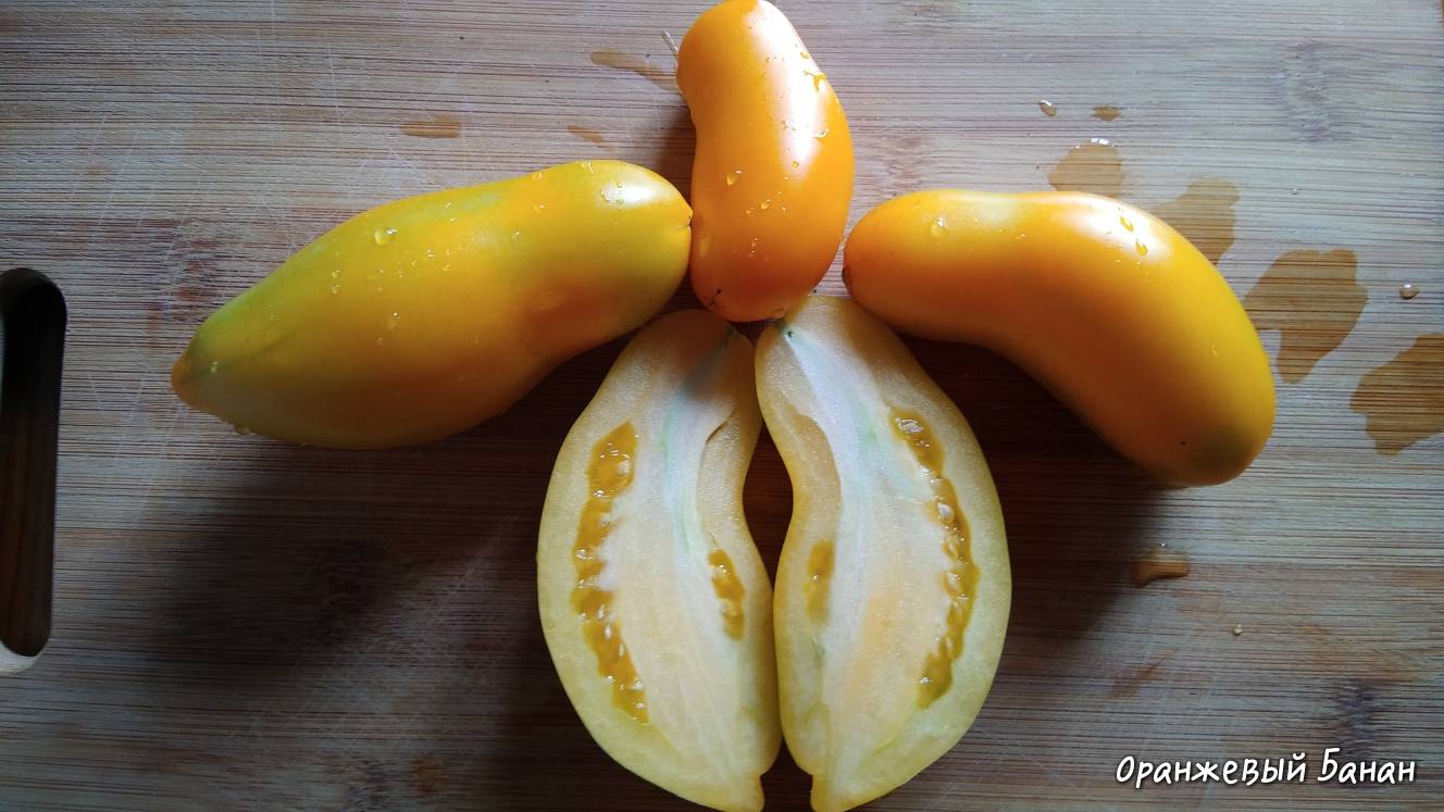 Знакомьтесь — оригинальный и вкусный томат «желтый банан»: описание сорта , фото