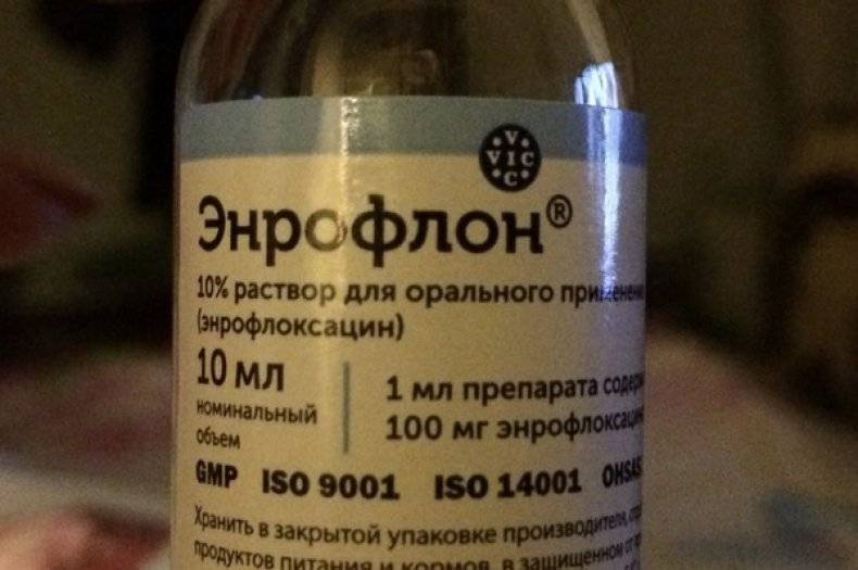 Энрофлокс 10% инъекционный 100 мг