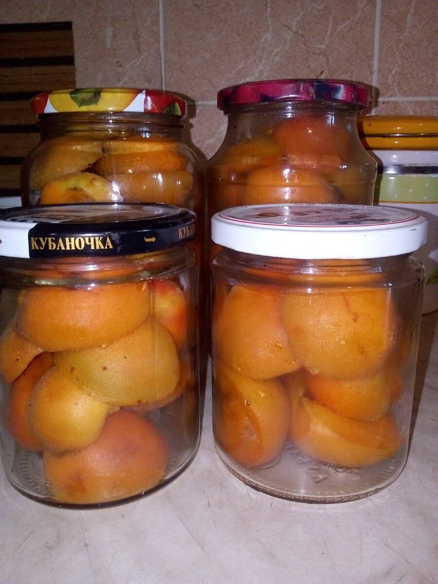 Как сохранить сухофрукты от моли в домашних условиях (яблоки, абрикос)