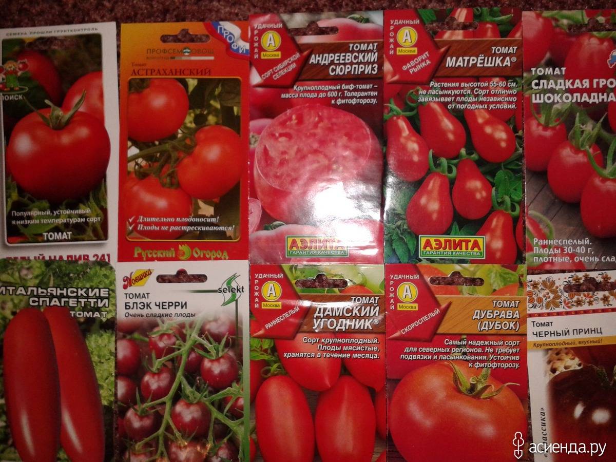 Описание томата Поцелуй герани и рекомендации по выращиванию рассады