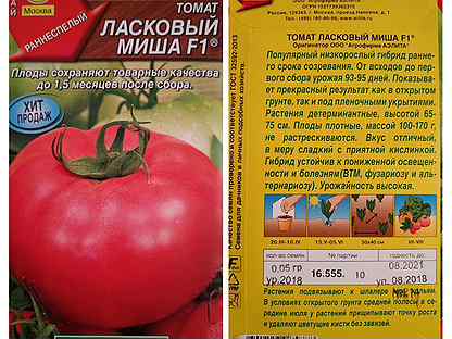 Описание томата Ласковый Миша и правила выращивания низкорослого сорта